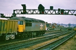 11th March 1988
