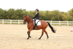 SBM_002339