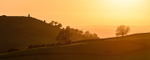 White Nancy silhouette (4)