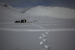 Visitor in the camp 1316