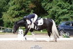 320-Louise_Pearce-Wellshead_Duke portfolio
