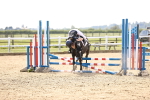 SBM_001284