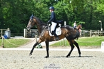 416-CLEVER_TRICK-Susie_Berry-DR portfolio