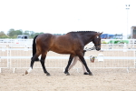 SBM_05681