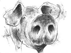 available originals portfolio