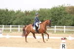 SBM_007515