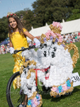 North Show 2017-23