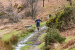Buttermere-347