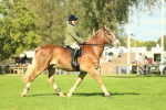 SBM_48098