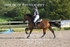 BPP_2528