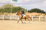 SBM_007058
