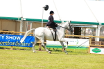 SBM_13205