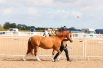 SBM_10958