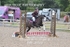BPP_8193