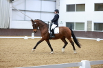 SBM_001597