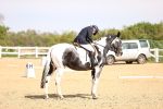 SBM_007982