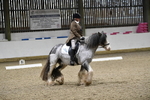 WJ5_0175