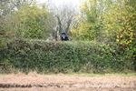 WJ6_7569