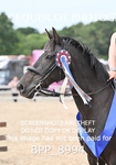 BPP_8994