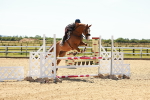 SBM_006664