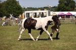 SBM_17932