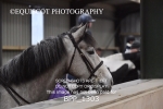 BPP_1303