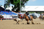 3HRodeo8-11-25_PRCASteer_04805_
