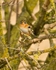 20110319-IMG_2416