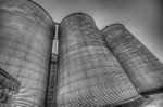 FARM 03