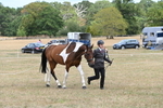 WJ6_5987