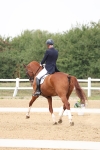 SBM_007431