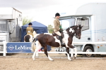 SBM_02954