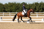 SBM_003818