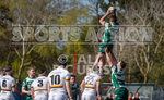 Guernsey Raiders v Esher-25