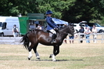 WJ7_3725