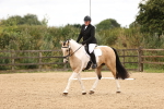 SBM_000964