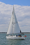 190729 MERDEKA GBR7835T - BAVARIA 44 1Y3A6174