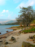 Lakeside-Llyn-Gwynant