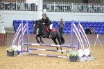 SBM_001781