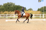 SBM_010505