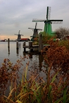 <center>Windmill Lineup</center><br>