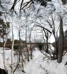 Tracks, Walden Pond