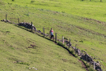 Ilam-422