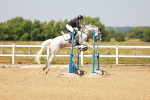 SBM_000805