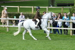SBM_51806