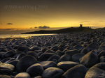 Dunstanburgh 12