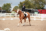 SBM_05885
