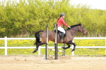 SBM_003677