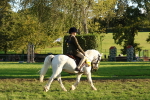 SBM_53138