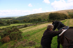 Dartmoor _ DR 36